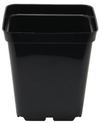 Square Pot 10cm - 0.7L