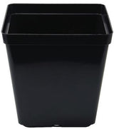 Square Pot 13cm - 1.5L