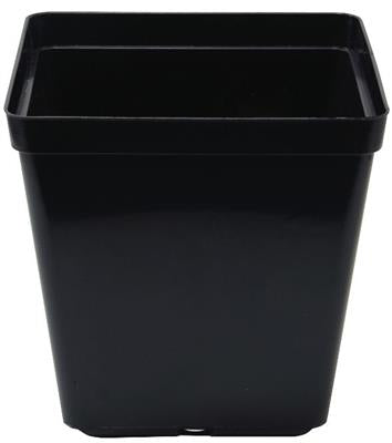 Square Pot 13cm - 1.5L