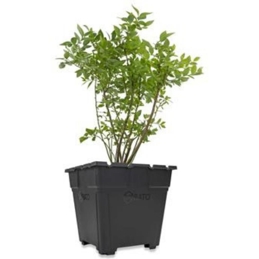 35L Premium Square Pot with Feet