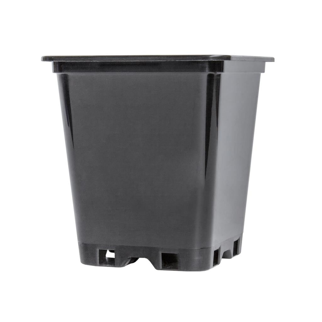 PotKing Square Pot 9cm - 0.5L