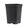 PotKing Square Pot 13cm - 2L