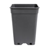 PotKing Square Pot 13cm - 2L