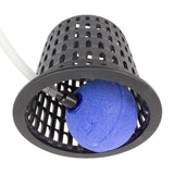 PLANT!T DIY Air-Cage - Box of 8