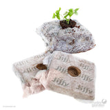 Jiffy PRO7 COCO CUBE 100mm (4”) - Box of 92