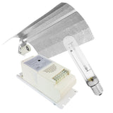 HPS/MH 250W Class 1 Ballast Kit