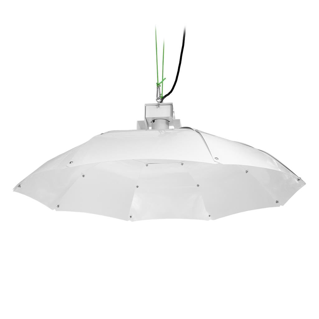 Sun King Parabolic Medium Reflector - White