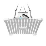 LUMii BLACK Blade 100w LED