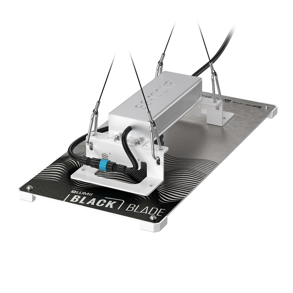 LUMii BLACK Blade 100w LED