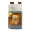BIOCANNA BioBOOST 1L