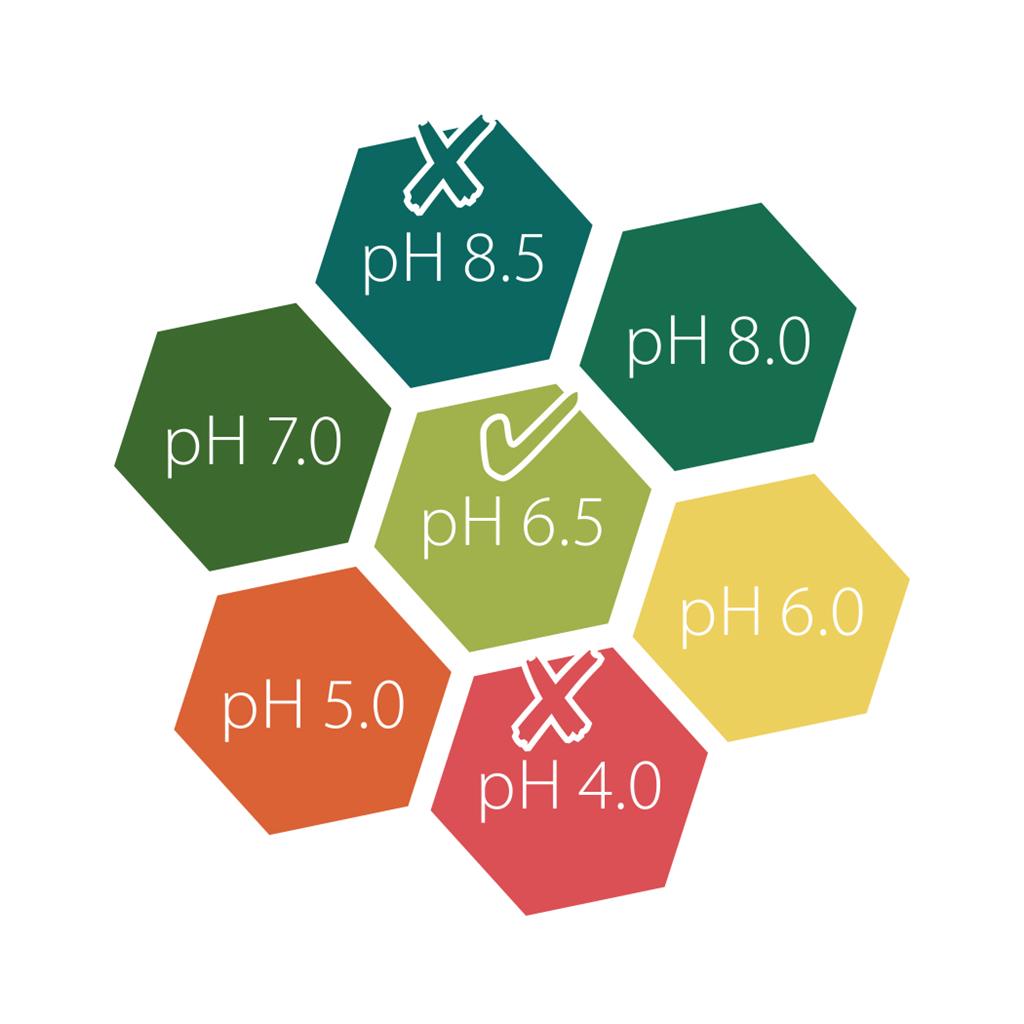 Essentials LAB pH Test Indicator - Wide Spectrum