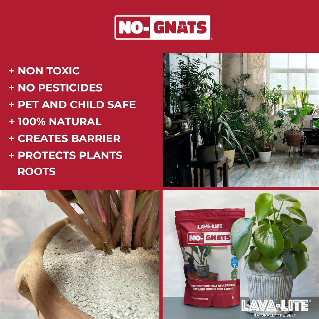 LAVA-LITE NO-GNATS - 3L Pouch