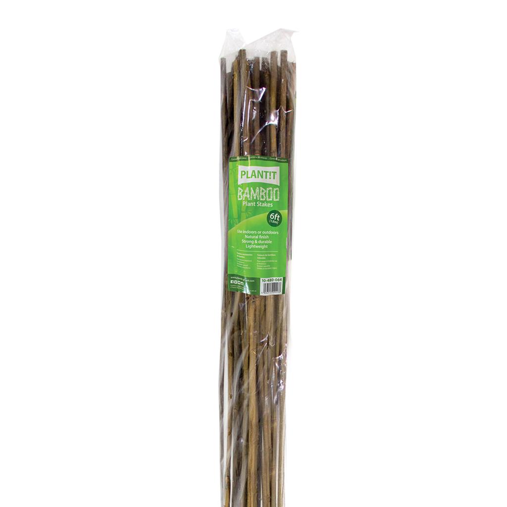 6' Bamboo Stakes (180cm) - Pack of 25