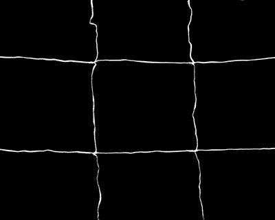 1.5m x 4.5m (5' x 15') Trellis Netting - 15cm Mesh