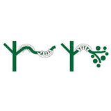 Plant Bends - Pack of 50