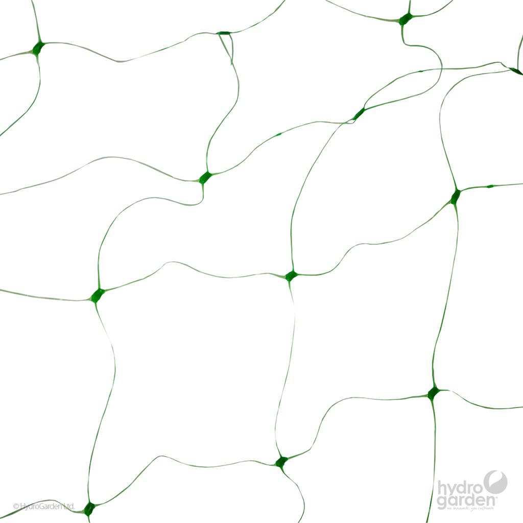 Lighthouse 2m x 25m Pea Netting - 15cm Mesh