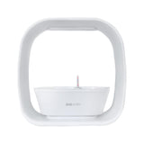 PLANT!T Herb Garden - White