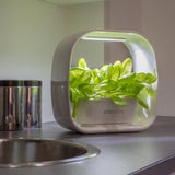 PLANT!T Herb Garden - White