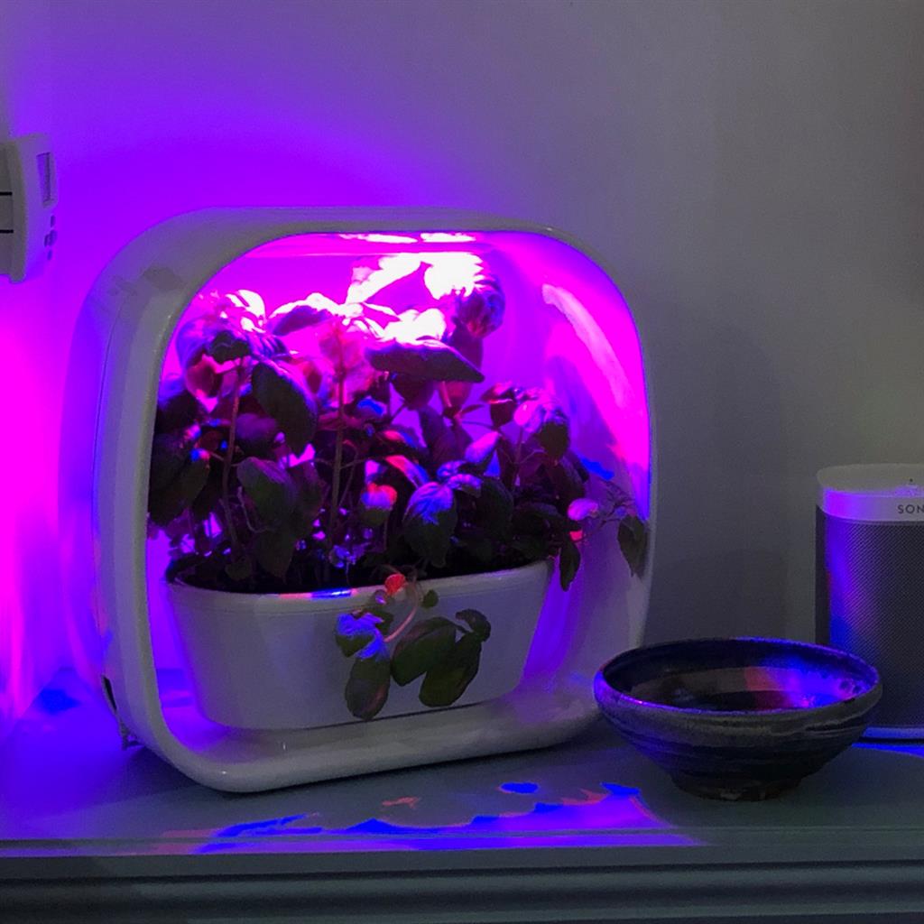 PLANT!T Herb Garden - White
