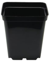 Square Pot 10cm - 0.7L