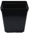 Square Pot 13cm - 1.5L