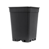 PotKing Square Pot 13cm - 2L