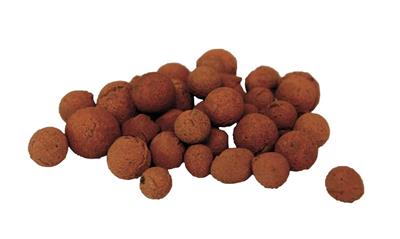 CANNA Aqua Clay 45L Bag