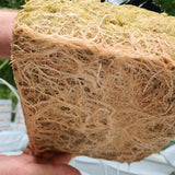 Cultiwool Mini Slabs - Box of 36 Slabs