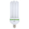 200W EnviroGro Warm CFL Lamp - 2700K
