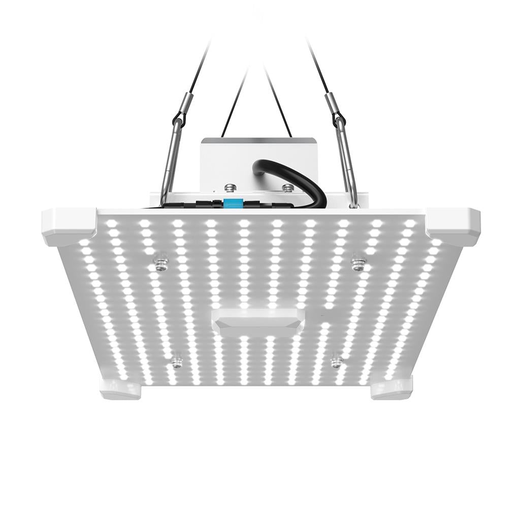 LUMii BLACK Blade 100w LED