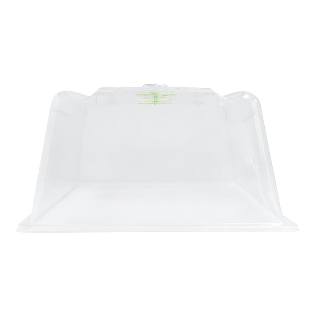 ROOT!T Propagator Lids - Box of 25