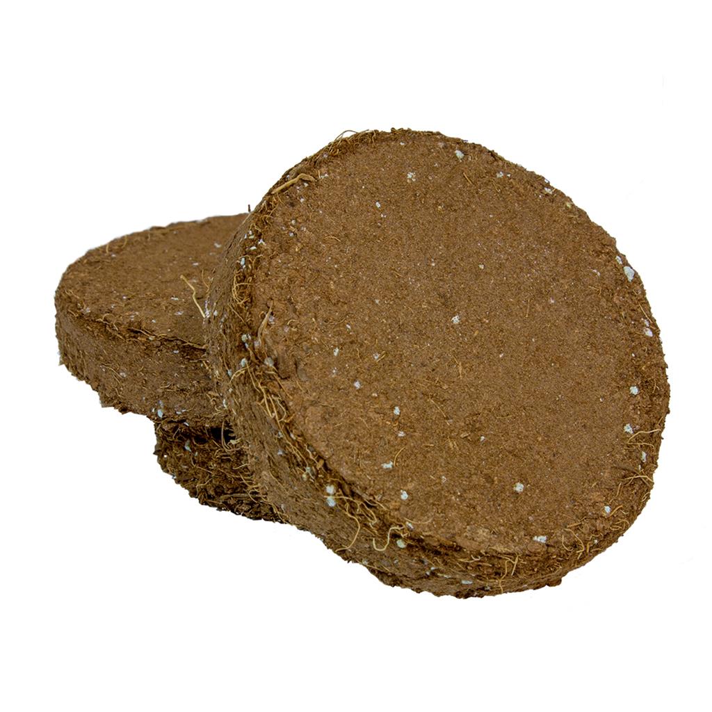 ROOT!T Potting Biscuit - Pack of 20