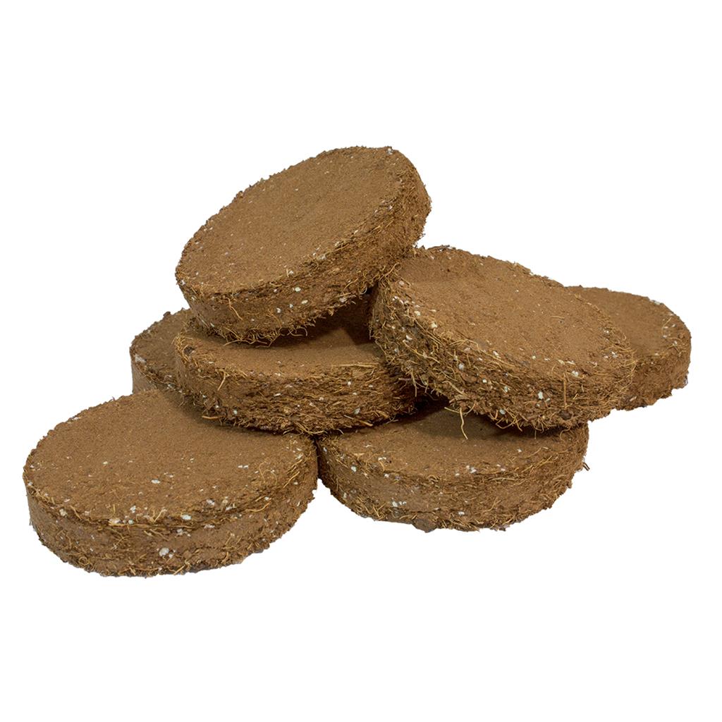 ROOT!T Potting Biscuit - Pack of 20