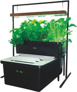 FishPlant Family Unit