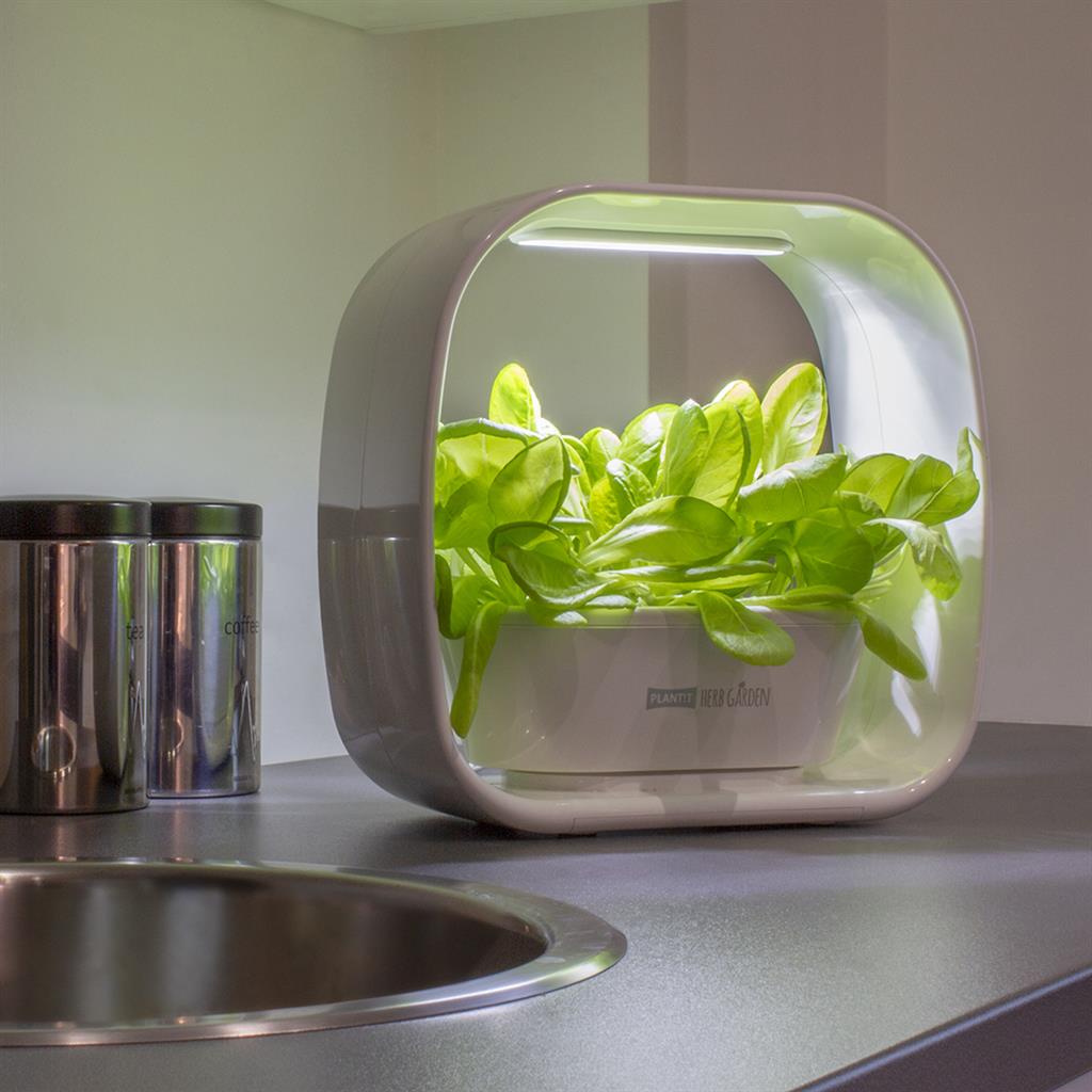 PLANT!T Herb Garden - White