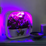 PLANT!T Herb Garden - White
